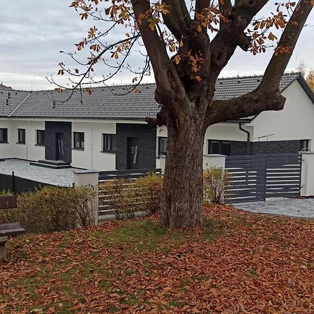 Apartmany Volavka 1 Planá nad Lužnicí Zewnętrze zdjęcie